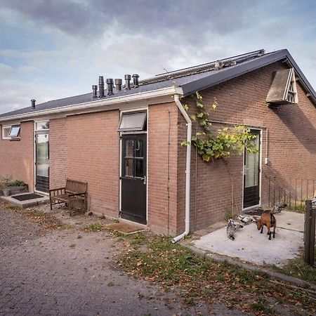 De Kaasmakerij - Ruim Vakantiehuisje Op Huize Blokland Hem Eksteriør bilde